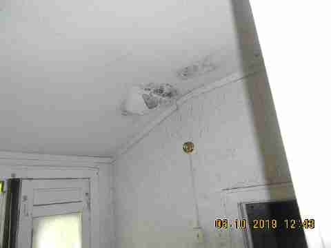 9727 Dundee (36)_m.jpg